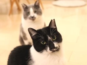 グリーフからの回復には段階がある　過程を知ると少し楽に　