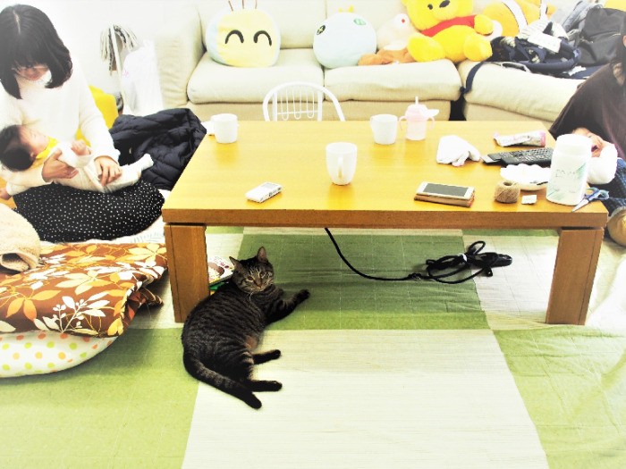 ときには寝ている赤ちゃんの見守りもするイチ