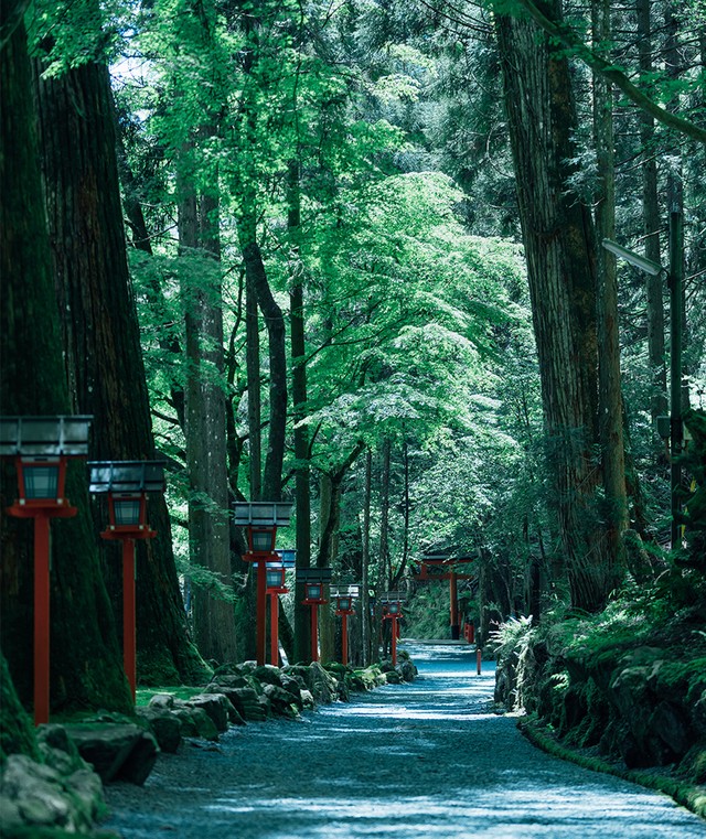 古くから気の生ずる根源として「氣生根」と記され、御神気に触れることで気が満ちるとされてきた貴船神社。初夏の濃き緑や、秋の紅葉、冬の雪景色などの豊かな自然と谷の霊気に魅せられ、多くの人が参拝。（提供：貴船神社）