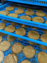 まだ調整を重ねながらの製造だという（マルサ製菓提供）