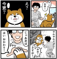 数カ月後に今さらの「お手」（夢窓かずみさん提供）