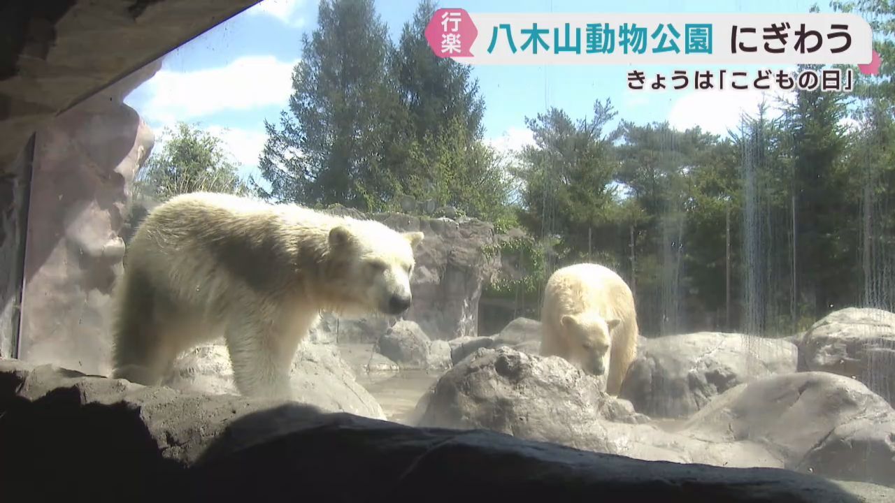 こどもの日で入園無料　八木山動物公園にぎわう   家族連れで混雑　 開園時間を３０分早める