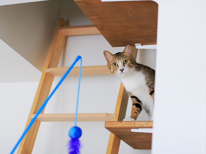 遊びに誘うもよそよそしいテオ。