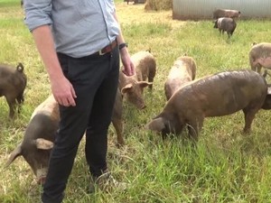 アニマルウェルフェアは偽善か　有機放牧の英養豚農家は、ヴィーガンをどう考える？