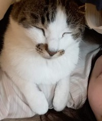 距離感ゼロで一緒に眠っていた日々