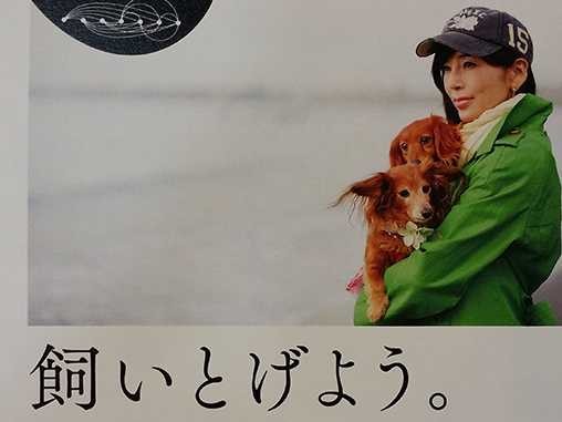 あらためて思い出す川島なお美さんのこと