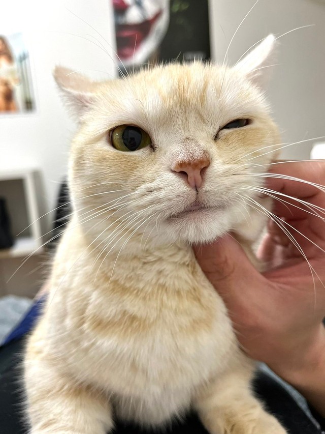 嫌だけど触らせてあげる＝さくらとかえで（@marshallizm9）提供