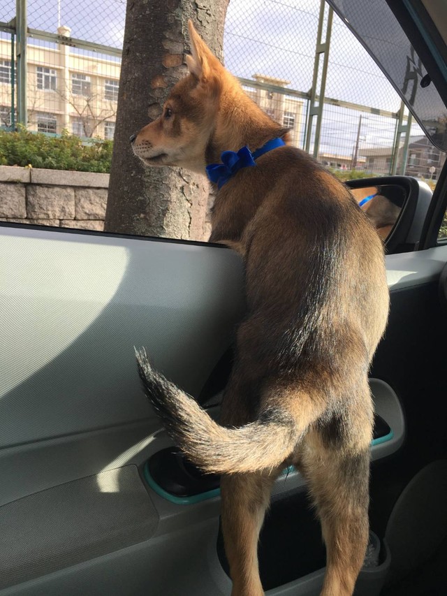 若月さんと一緒に“営業”に回っていた頃