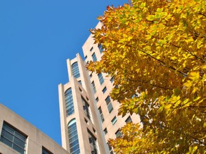 学業を頑張ったじゃダメ？「ガクチカ」を考えて疑問に思ったこと