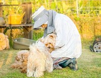 犬も投稿主のこともかわいがってくれるお隣さん／犬猫大家族in福岡さん（@amkclo6）提供