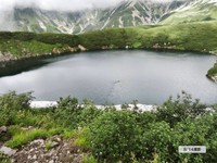 「室堂平の『みくりが池』を熊が泳ぐ姿も目撃されました」（富山県警察山岳警備隊の公式Xのアカウントから）