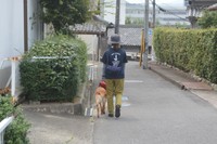 道路の左側を歩くのが盲導犬のルール