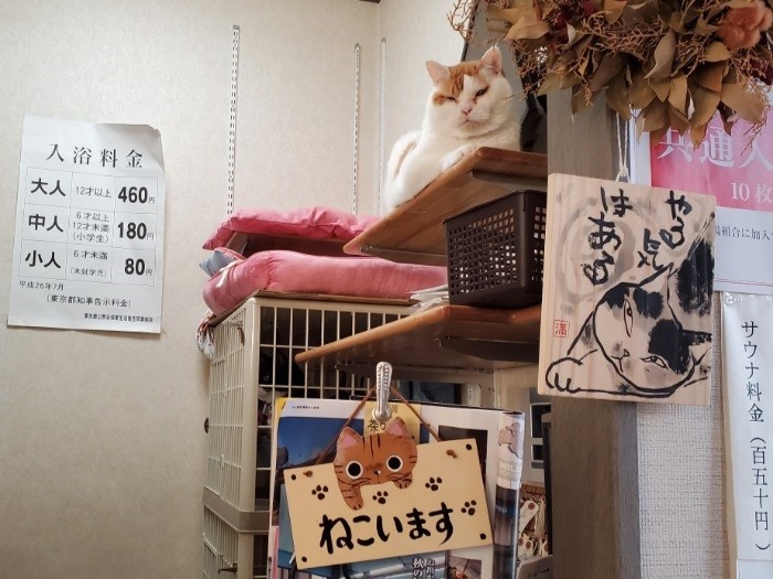 「１０月から１０円値上がりします」