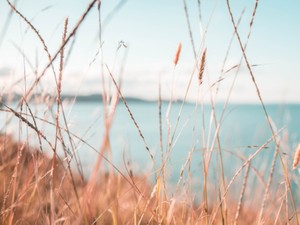 顔面偏差値を知りたくて始めたビールの売り子。1シーズンで辞めた理由