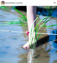 旅館「KAWACHI BASE-龍栄荘-」の公式インスタグラムから