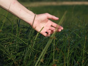 話せば分かる大人がいる。そう思わせたのは、私が苦手な大人だった