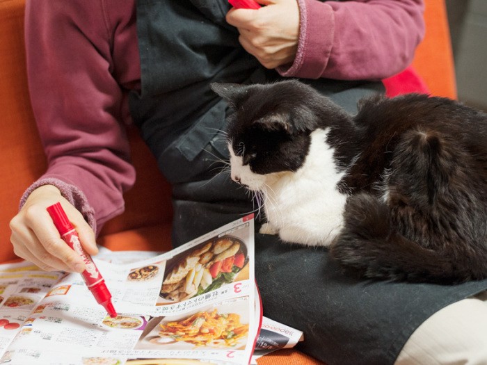 「おじちゃんに食べさせる肉なんて、一番安いのでいいんじゃない？」（小林写函撮影）