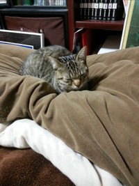 みりちゃんが来た日のみうちゃん。納得できないわ（笑）