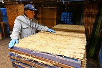 わらの上に柿を並べ、その上にネットとわらを重ねる