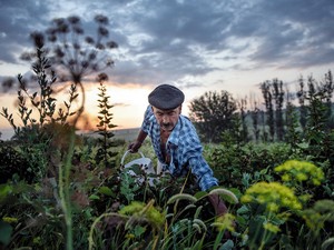 そして私は、村のただ一人の住人になった