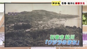 宮城県と捕鯨文化の深い関わり　石巻市鮎川はかつて国内最大の捕鯨基地