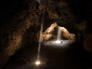 仕事を失って働き始めた障害者施設で思い出した、私の「夢」