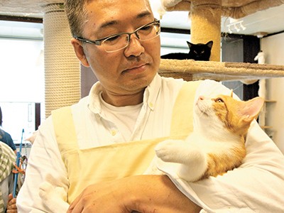 「ねこかつ」梅田さんが語る「不幸な命をなくすには」