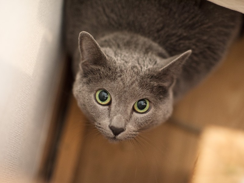 「おじさん、鼻毛が出てるわよ」（小林写函撮影）