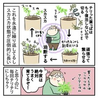 【漫画】『買った時がベストコンディション』3（もっこさん提供）