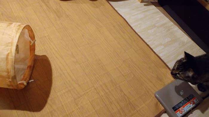 まずは距離をとります