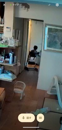 明るい昼間はカラー映像で撮影される／「ちき・結婚8年目」さん（@tntuun）提供