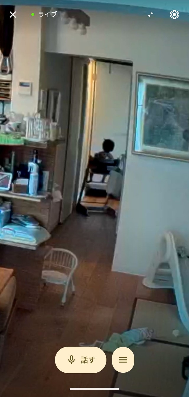 明るい昼間はカラー映像で撮影される／「ちき・結婚8年目」さん（@tntuun）提供