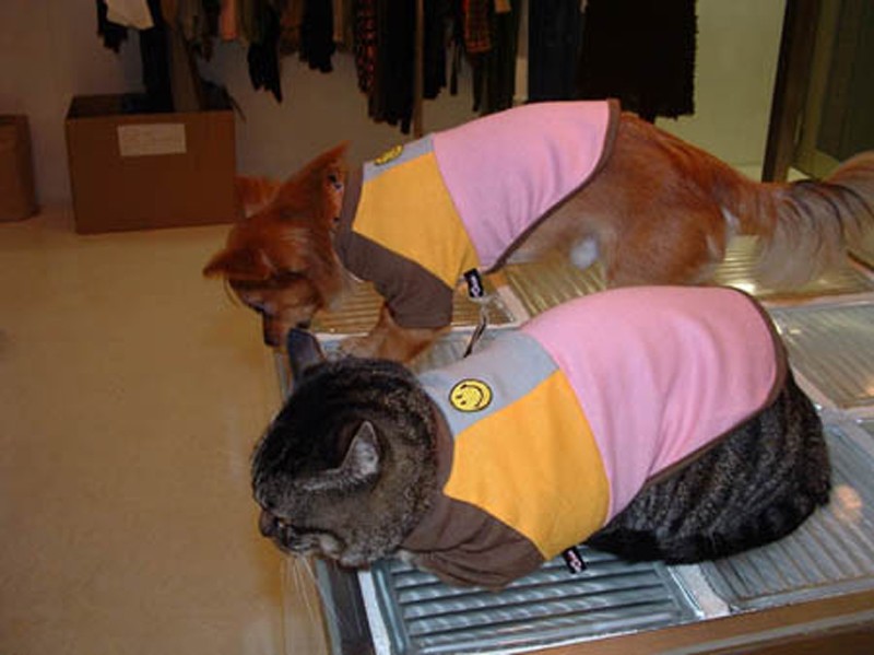 ルナは“犬友”と原宿でおそろいの服を買ったことも！