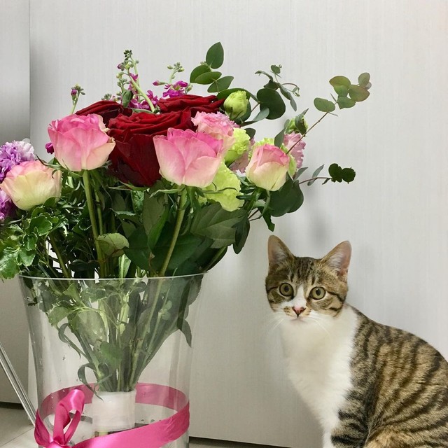 きれいな花にも負けない美しさ