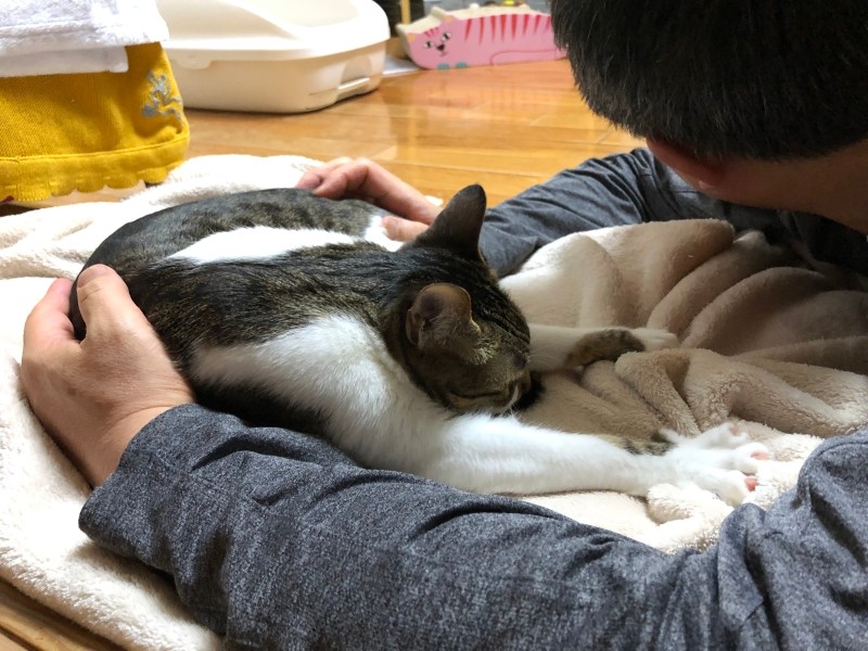 京子さんの夫になでてもらいながら、チュパチュパフミフミして眠る（京子さん提供）