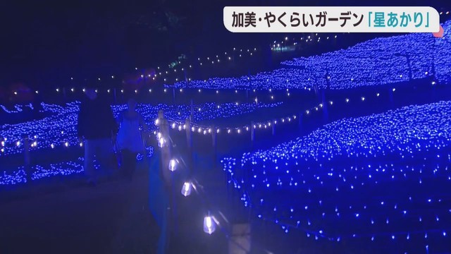 広大な敷地を幻想的なイルミネーションで照らす星あかり　宮城・やくらいガーデン