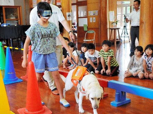 「盲導犬と一緒だと安心」視覚障害を小学生が体験学習　高知
