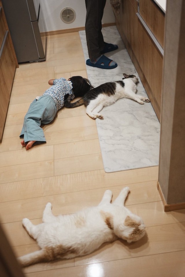 猫と一緒に涼を求めて横たわる！（提供：みょん☺︎さん）