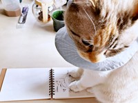 kaoruさんが描く絵に乗っかるルールーちゃん（画像提供：kaoruさん）