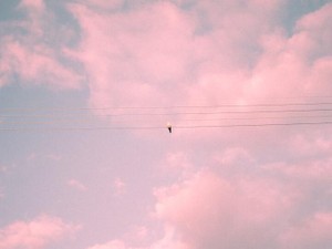 私、嫉妬してる？数行の文章で気づいた私は、この気持ちに蓋をした