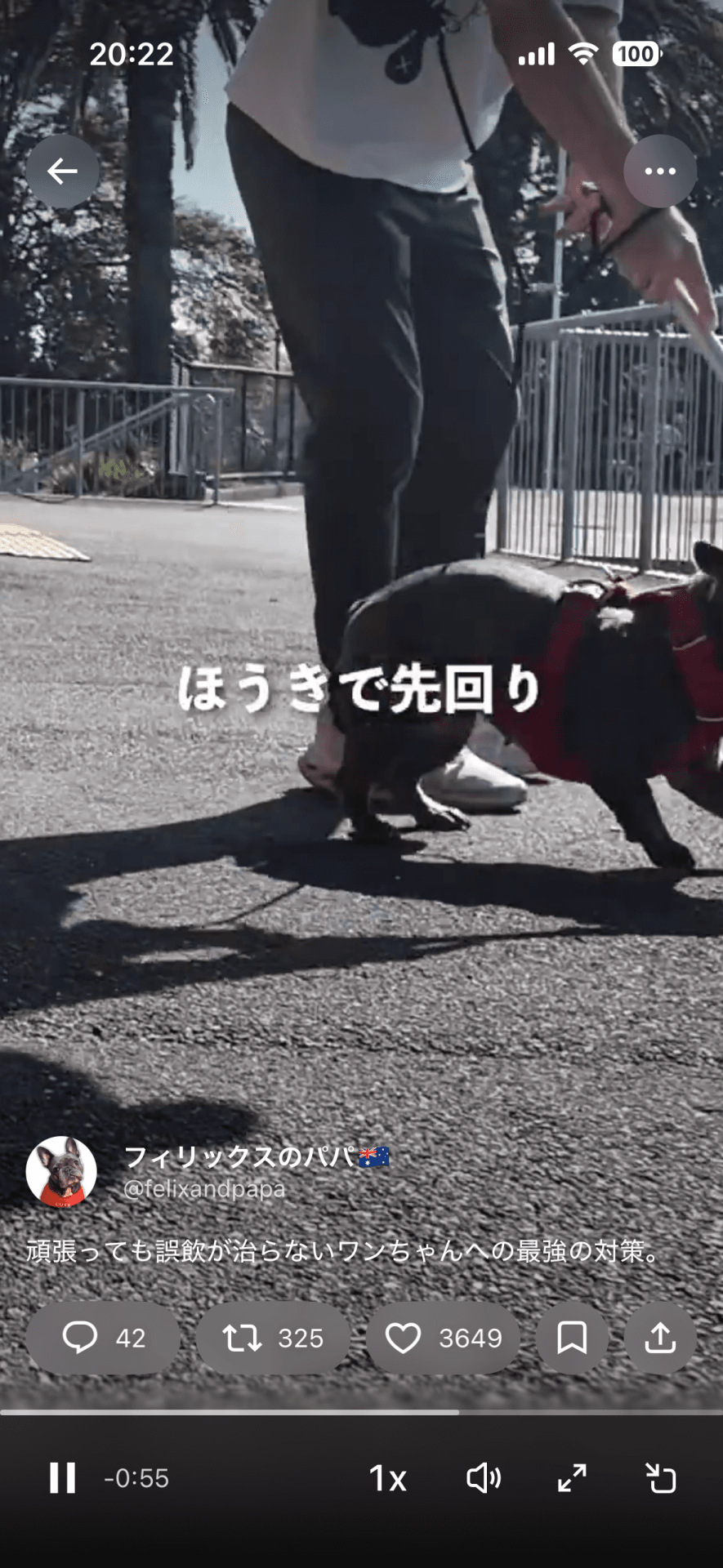 もはや散歩ではなくなってしまう