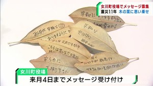 震災への思いや犠牲者への祈りを木の葉に込めて海へ　宮城・石巻市の被災者の取り組み　#知り続ける