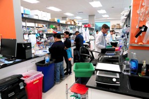 創薬の「生態系」最前線　リスク恐れぬ米国の風土