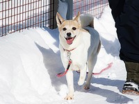 幸せを掴んだネオンを前に、スタッフはおおいに喜びました