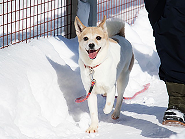 幸せを掴んだネオンを前に、スタッフはおおいに喜びました