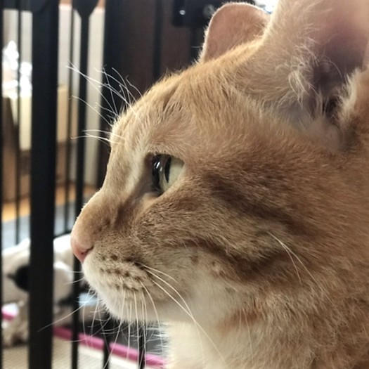 藤田さんの娘さんは、思慮深い表情が好きだと言う