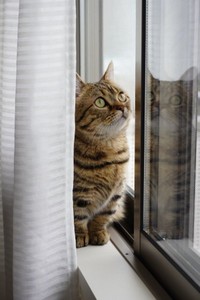 スヤスヤ眠りながらセルフハグをしていた、もなちゃん（提供：もな さん）