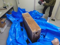 出来立てほやほやコーラ氷【提供：中 孝仁｜日乃出製氷 4代目（泥臭く、活路を拓く）さん】