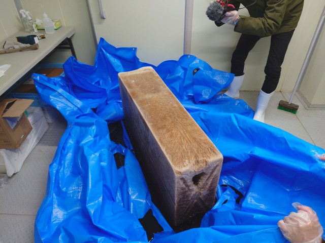 出来立てほやほやコーラ氷【提供：中 孝仁｜日乃出製氷 4代目（泥臭く、活路を拓く）さん】