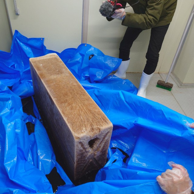 出来立てほやほやコーラ氷【提供：中 孝仁｜日乃出製氷 4代目（泥臭く、活路を拓く）さん】